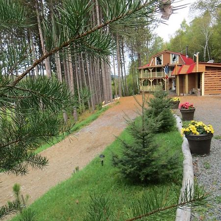 La maison sous les arbres Saint Roch de Mekinac Extérieur photo