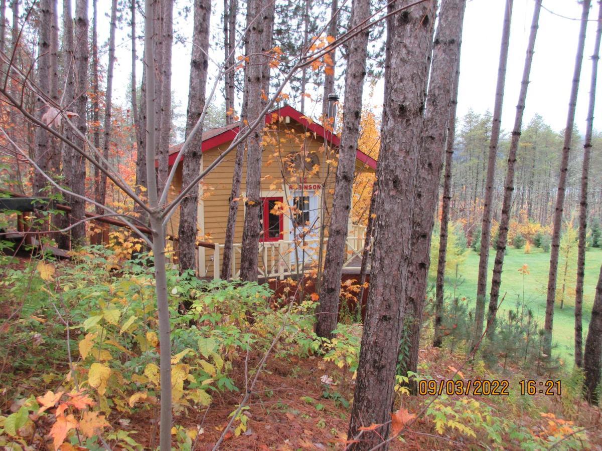 La maison sous les arbres Saint Roch de Mekinac Extérieur photo