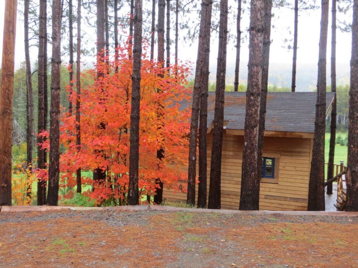 La maison sous les arbres Saint Roch de Mekinac Extérieur photo
