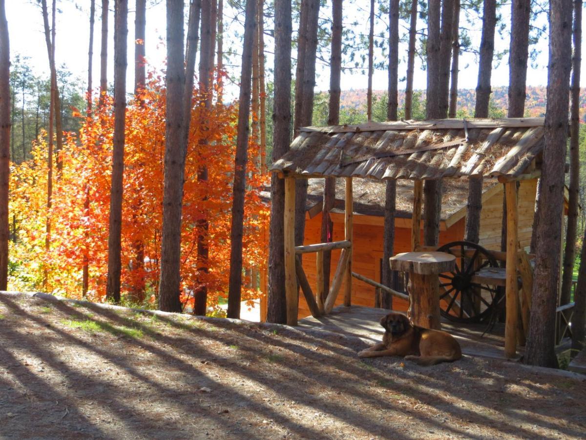 La maison sous les arbres Saint Roch de Mekinac Extérieur photo