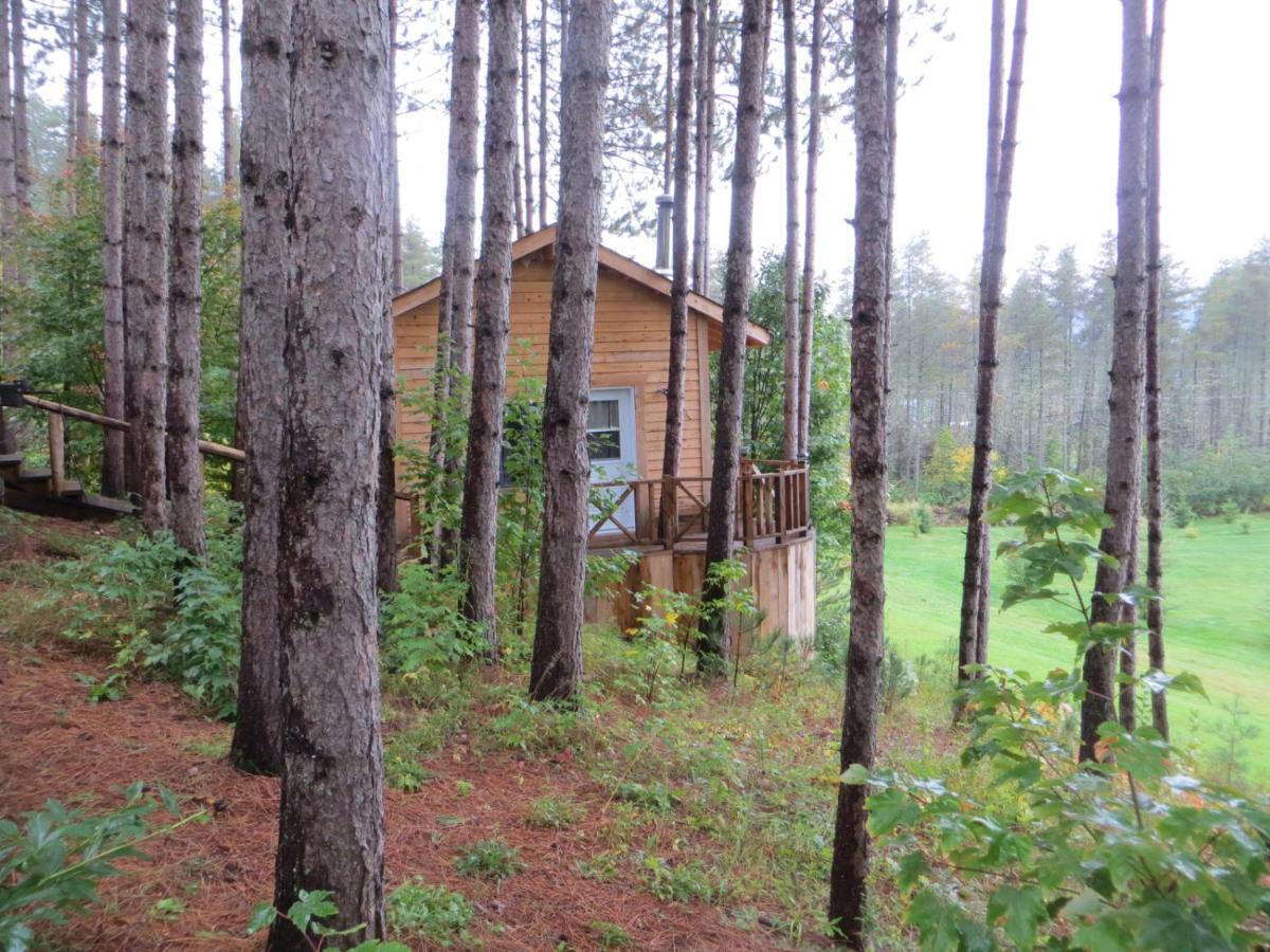 La maison sous les arbres Saint Roch de Mekinac Extérieur photo